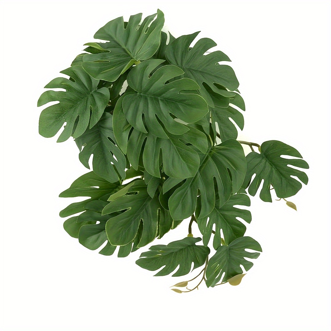 Monstera Adansonii - نباتات اصطناعية للزواحف والتراريوم، نباتات مونستيرا