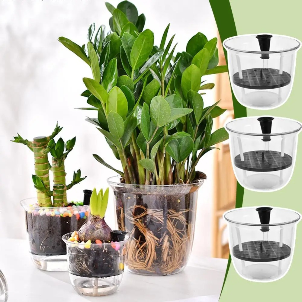 قطعتان من أواني الزرع ذاتية ال - مراجعة Aloe Vera Pot وسعره