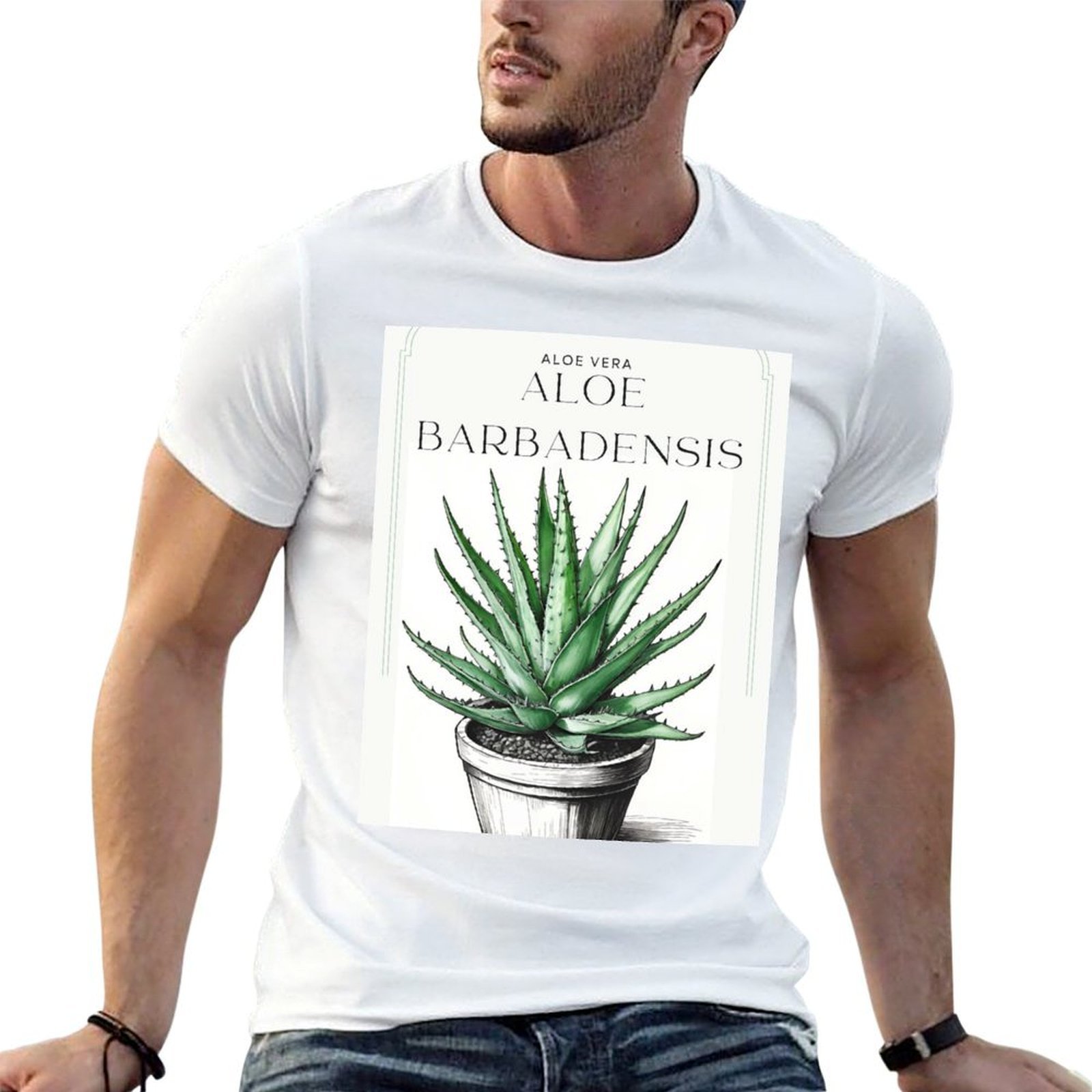 الصبار النباتي في وعاء بتصميم  - مراجعة Aloe Vera Pot وسعره