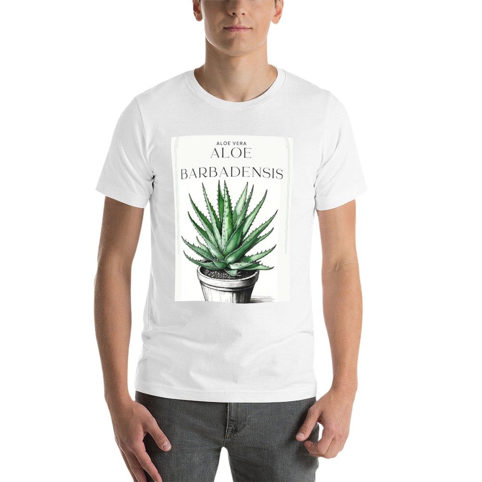 الصبار النباتي في وعاء بتصميم  - مراجعة Aloe Vera Pot وسعره