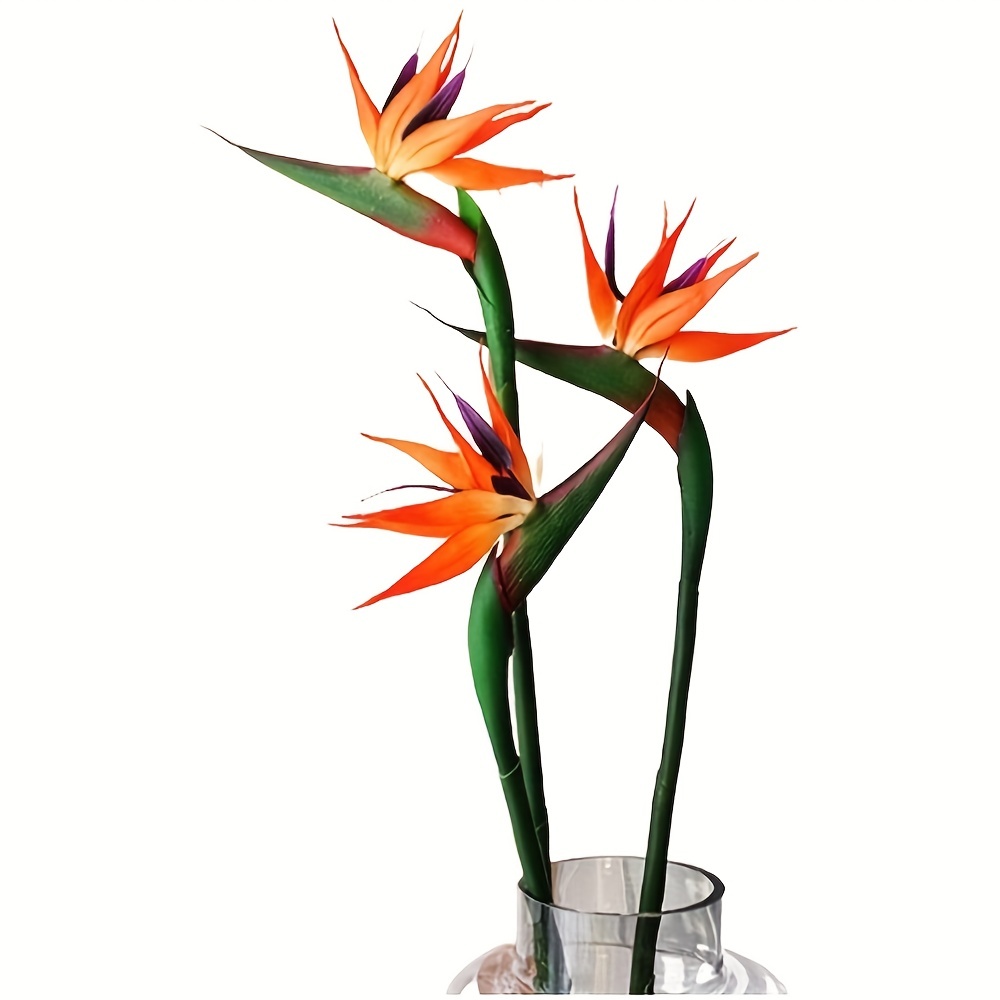 طائر صناعي من زهور الجنة ، ستر - مراجعة Bird Paradise Strelitzia وسعره