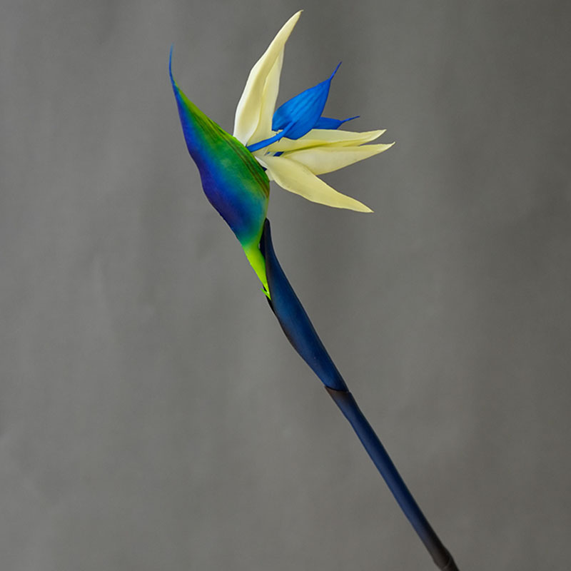 زهرة طائر الجنة الاصطناعية، نب - مراجعة Bird Paradise Strelitzia وسعره